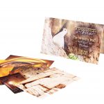 Postcards from the Western Wall